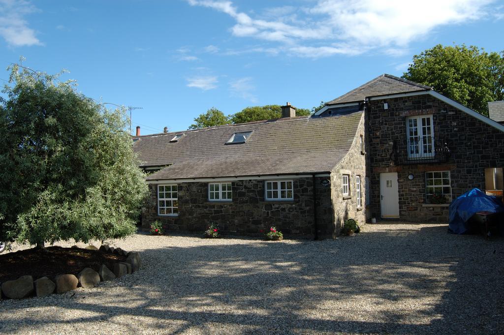 Shola Coach House B&B Coleraine Extérieur photo