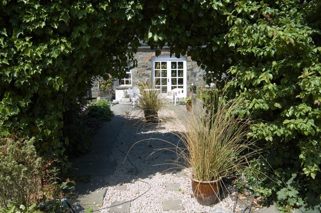 Shola Coach House B&B Coleraine Extérieur photo
