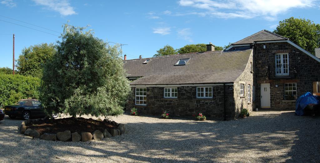 Shola Coach House B&B Coleraine Extérieur photo